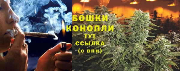 каннабис Алзамай