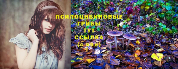 спиды Алексин