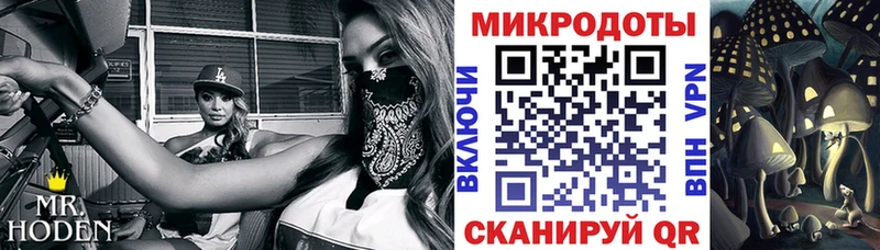 где найти гидра как зайти Галлюциногенные грибы GOLDEN TEACHER Октябрьск